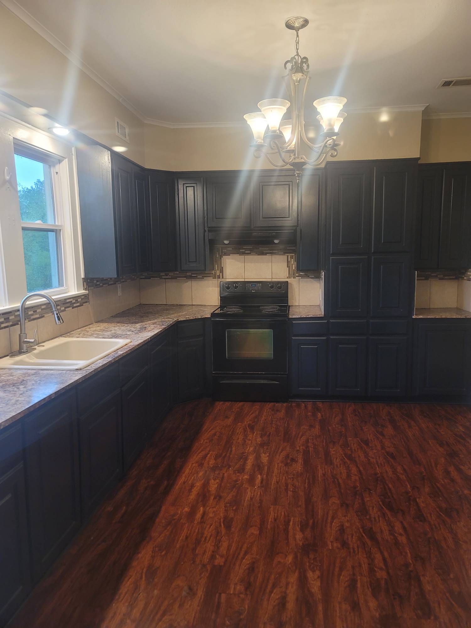 301 Opal Lake Dr – photo 4