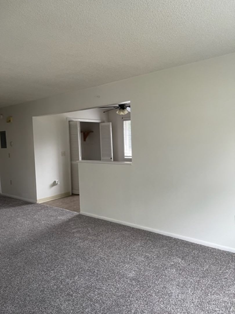2 Bedroom Apartment for Rent in Bozeman – photo 4