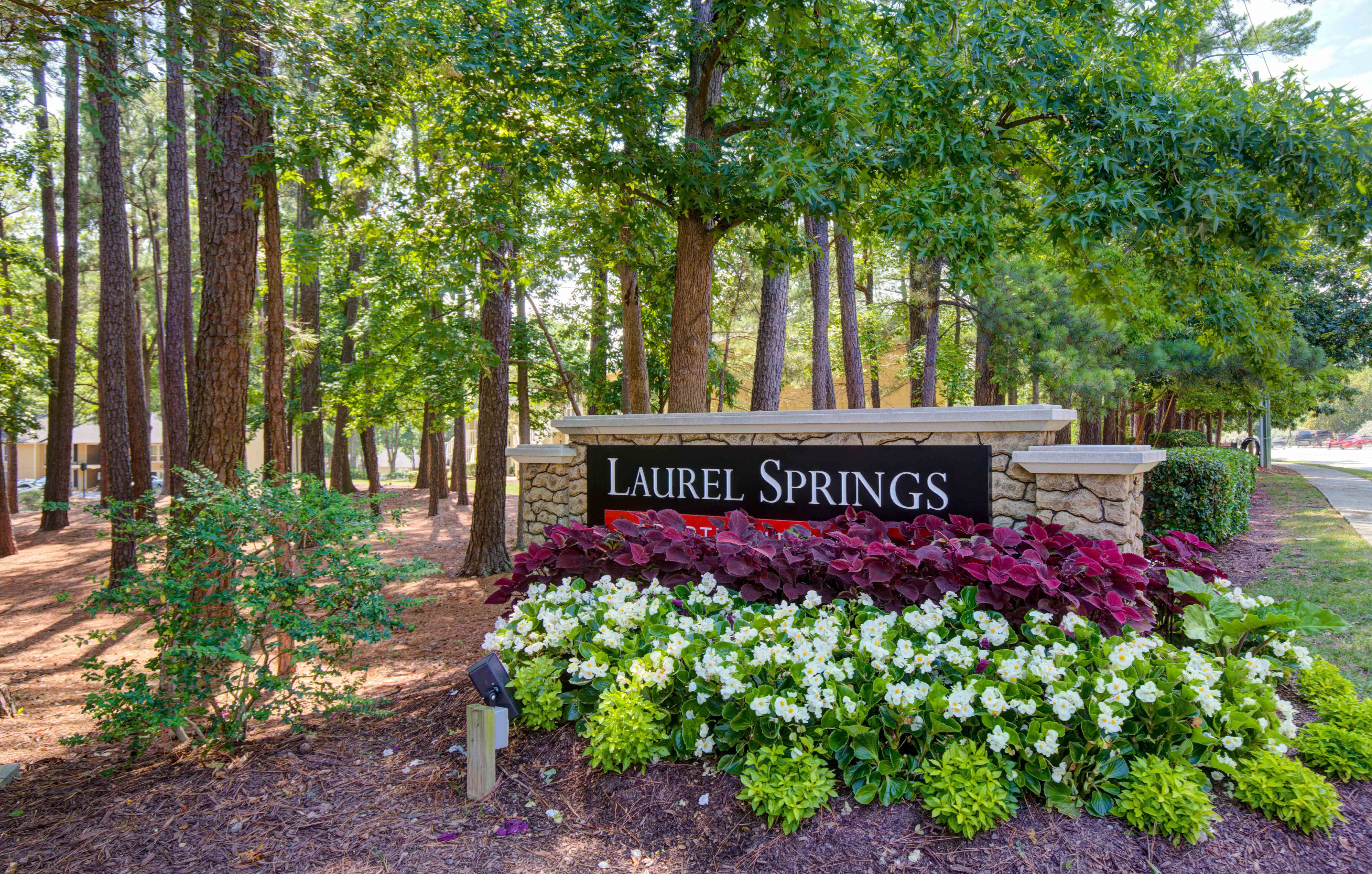 Laurel Springs – photo 5