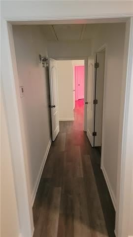 8925 COLAPISSA Street – photo 4