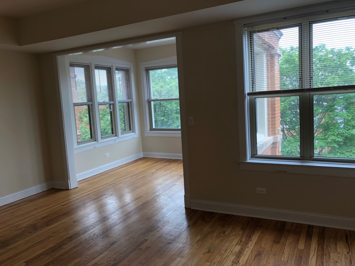 3539 W Ainslie St – photo 4