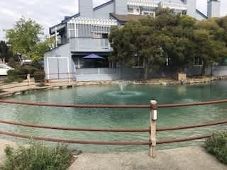 Beautiful Unit – photo 3