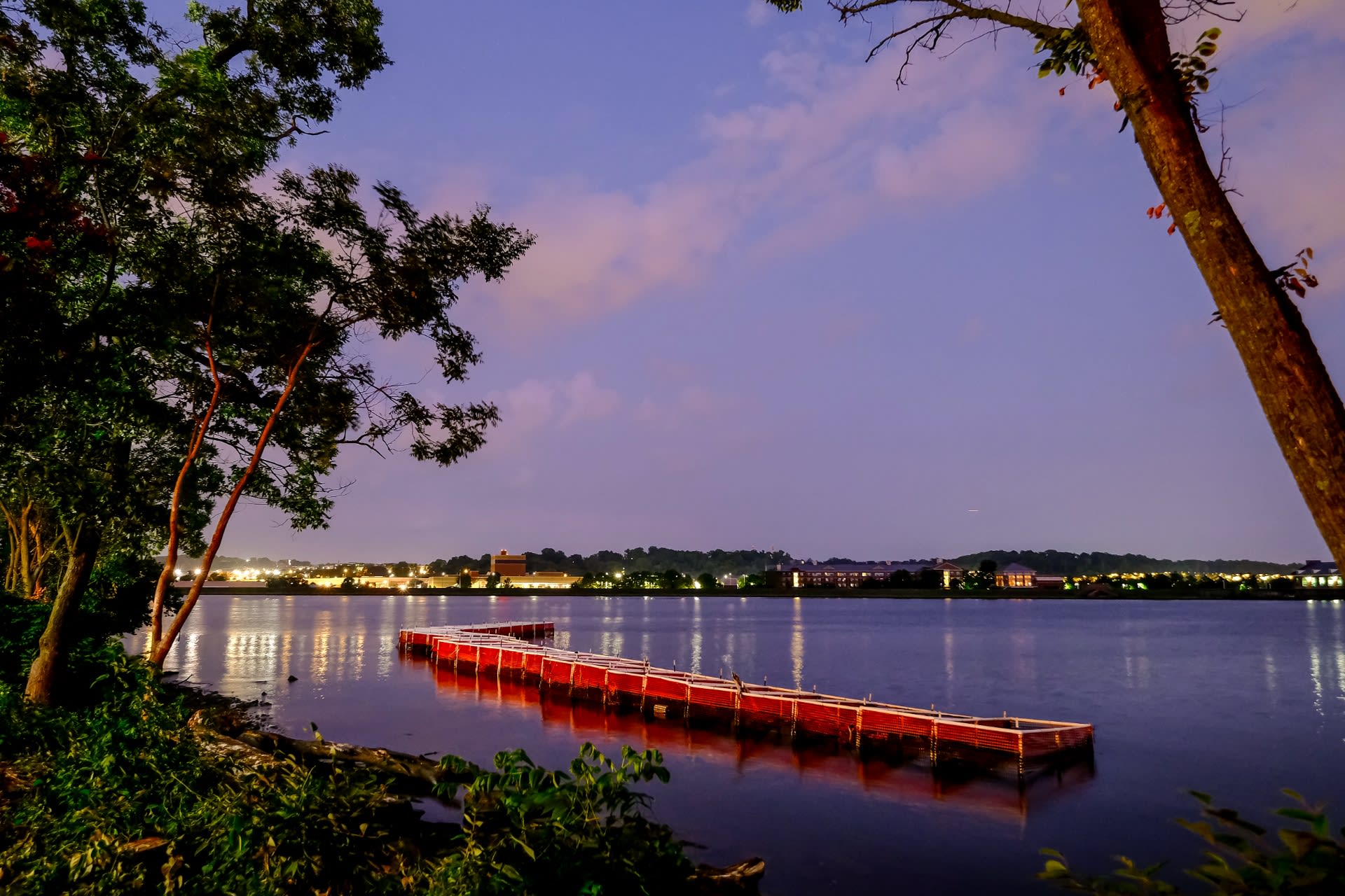River Point – photo 4