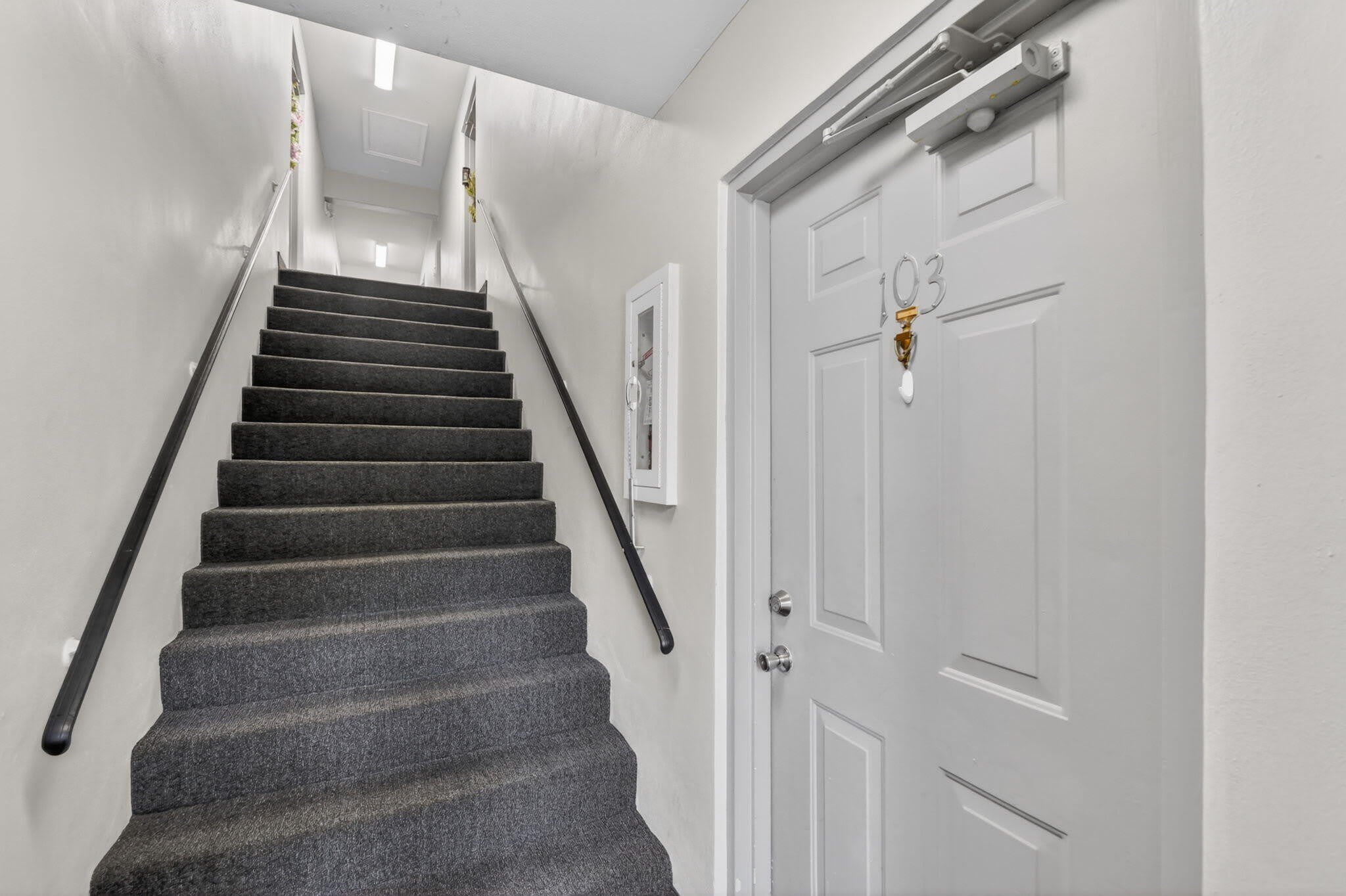 9810 Pineapple Tree Drive – photo 5