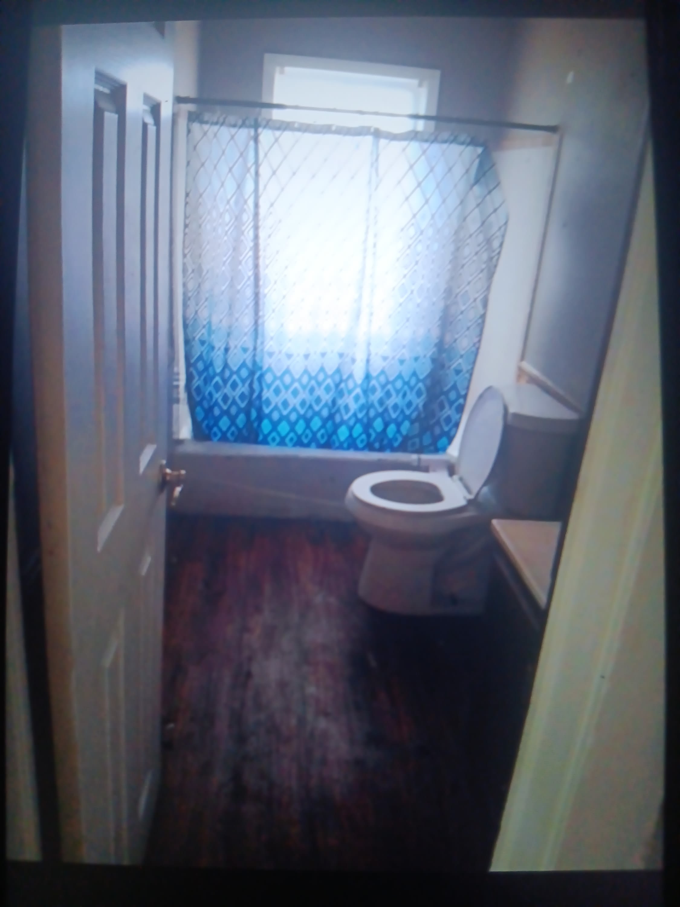 2101 SW 13th – photo 5