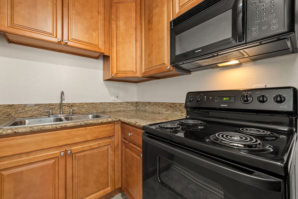 Topanga Canyon Apartments – photo 4