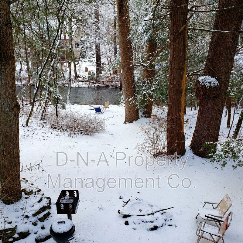 3530 Spruce Cabin Road – photo 2
