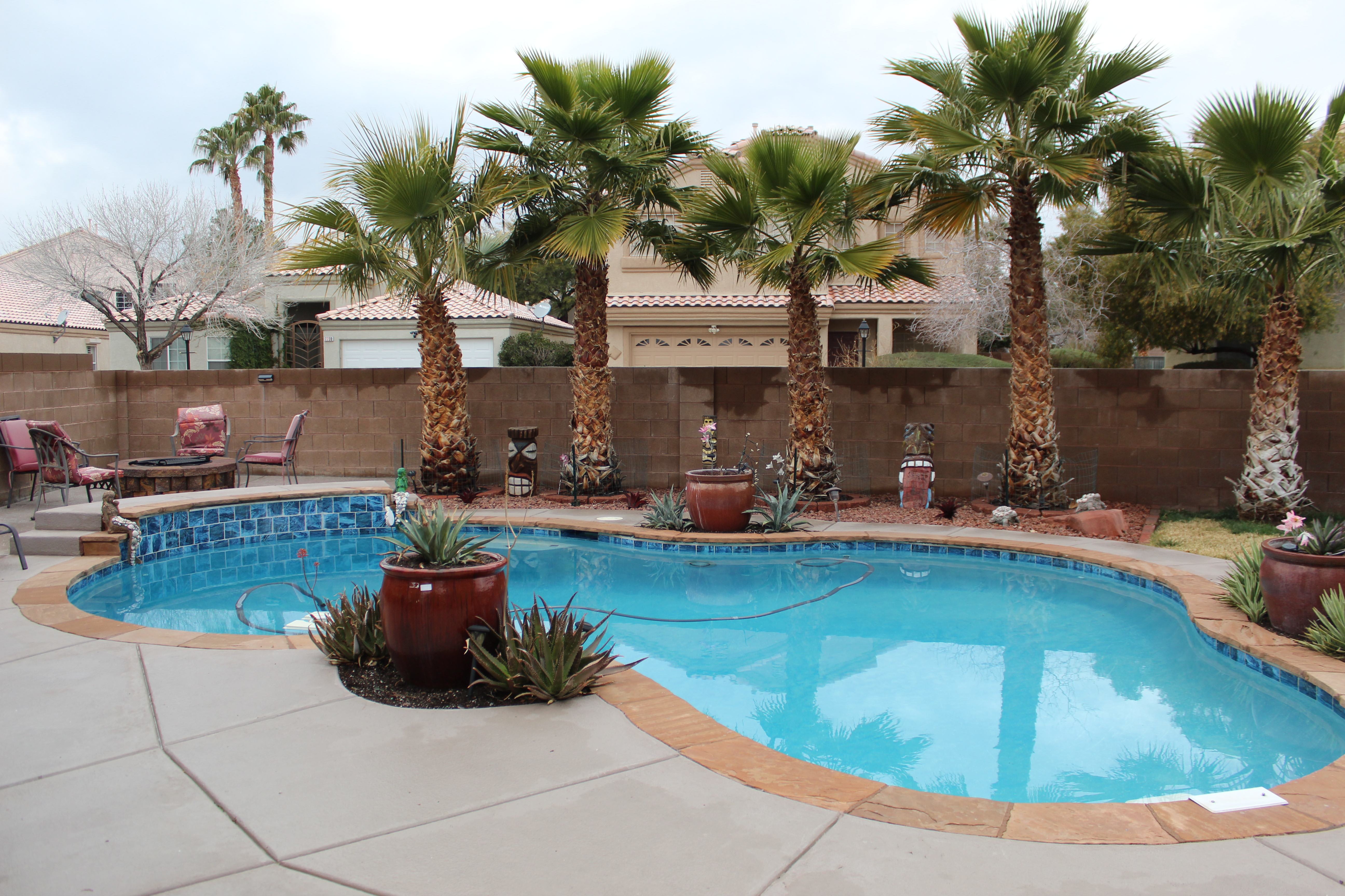 7711 Morning Lake Drive – photo 2