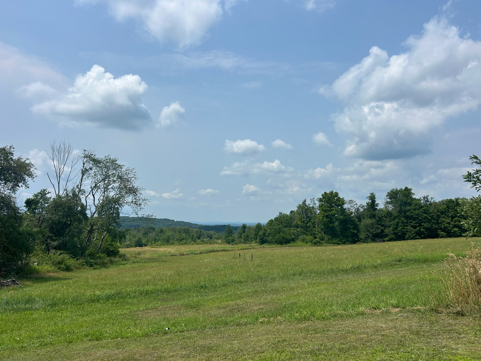 1297 Lakeland Drive – photo 4