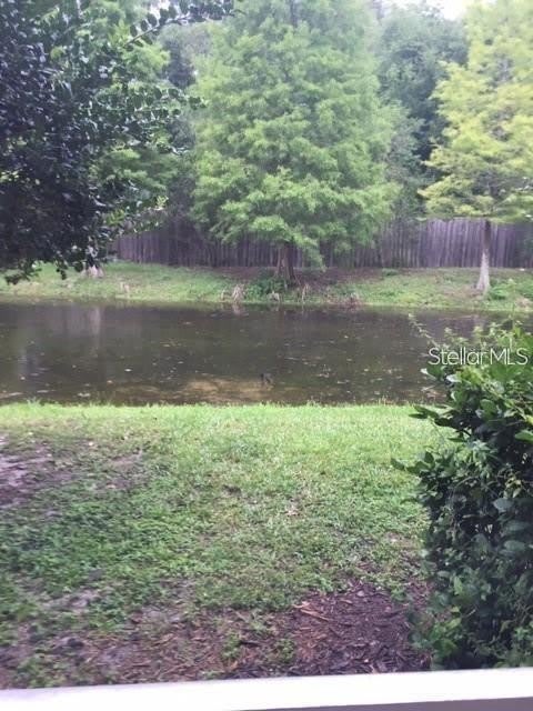 4134 BISMARCK PALM Drive – photo 3