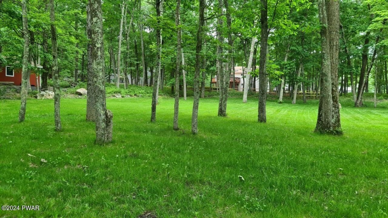 110 Stallion Drive – photo 5