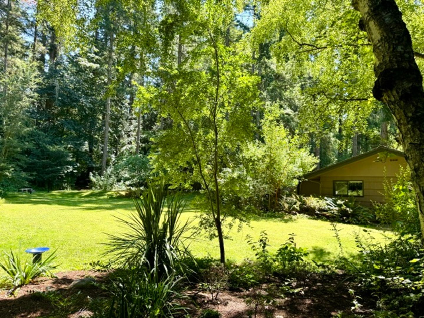 What A Peaceful Setting Oh And The Cottage Is Wonderful Too Come And See – photo 2