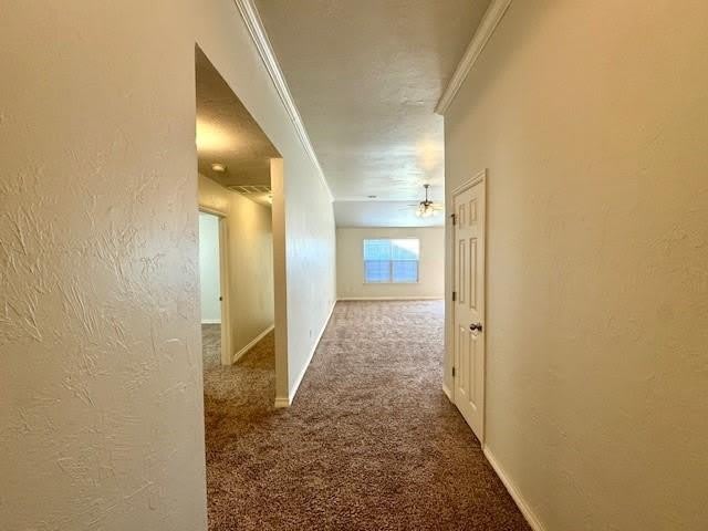 1005 Westridge Drive – photo 2