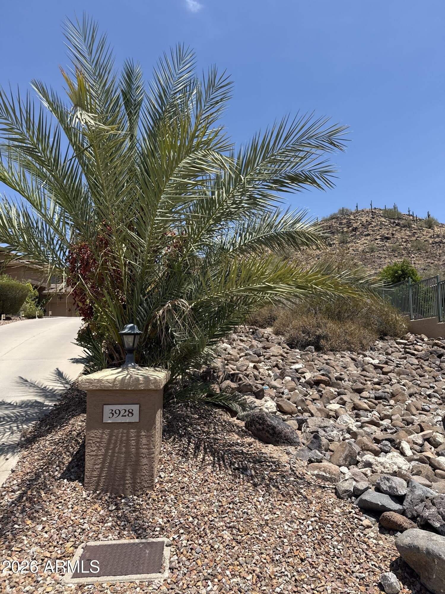 3928 W RANGE MULE Drive – photo 4