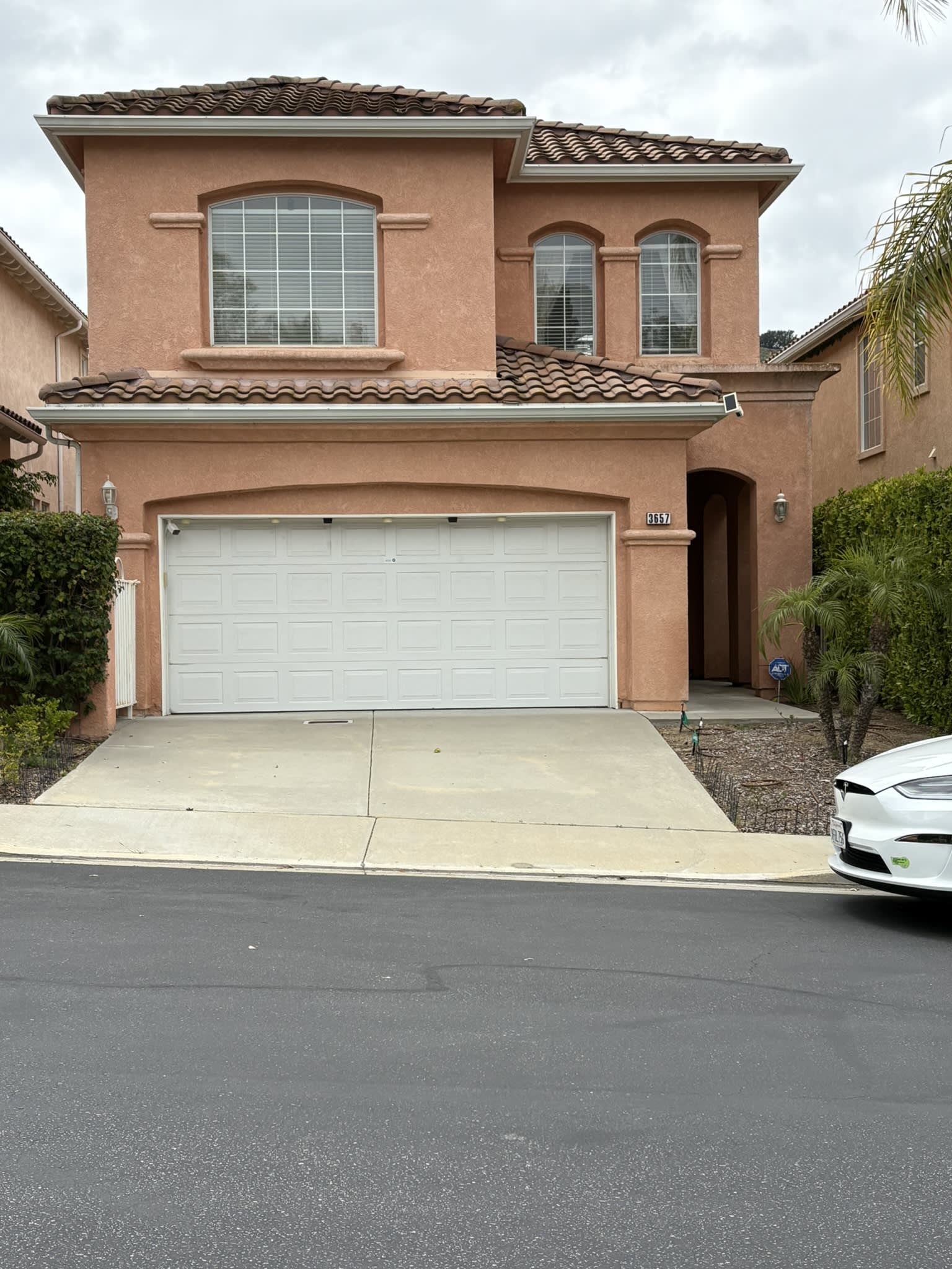 3657 Calle Jazmin – photo 1