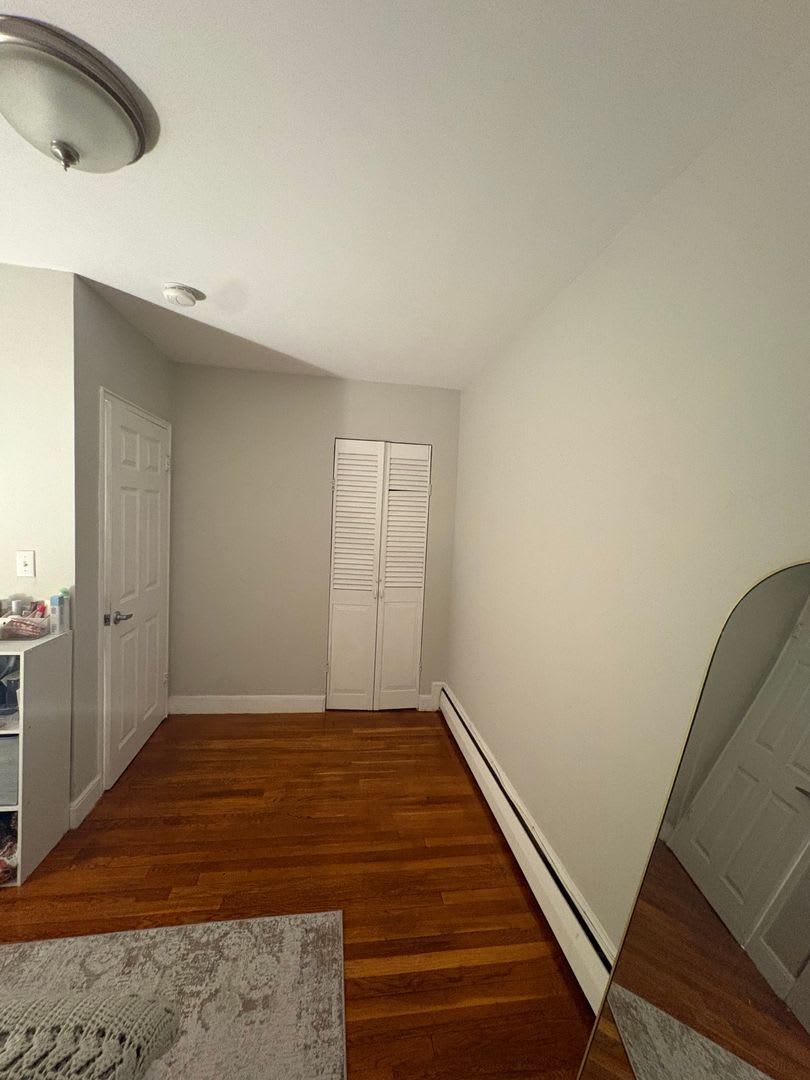 See YT Video! No Fee! Huge & Sunny Apt near Ts & Cleveland Cirlce. Cat Friendly – photo 4