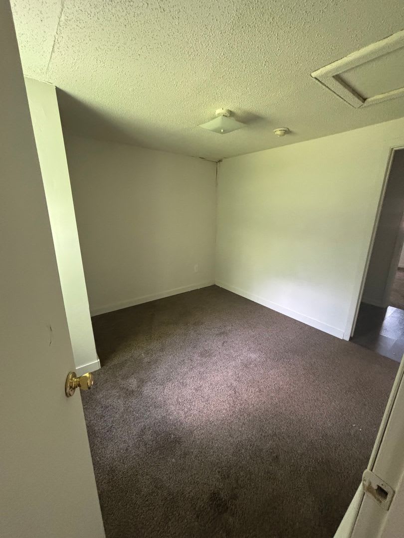 Charming home 2 bed 1 bath – photo 4