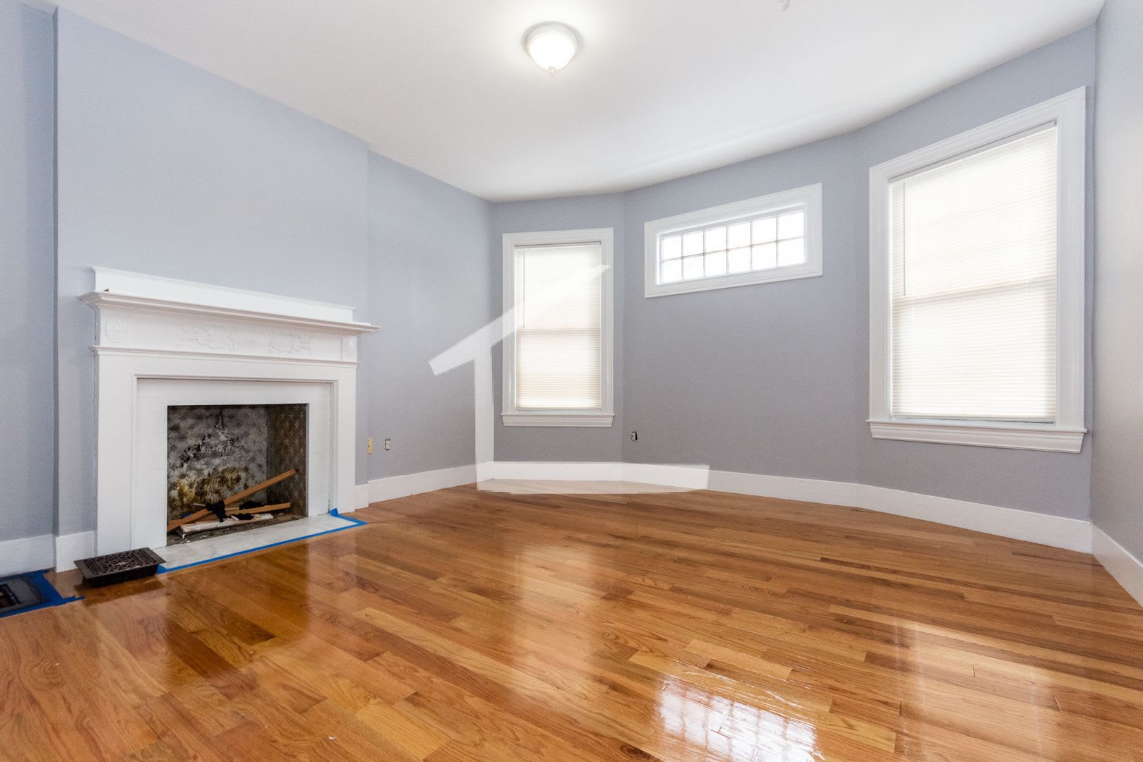 7bed 3bath in Allston is available on 9/1 – photo 1
