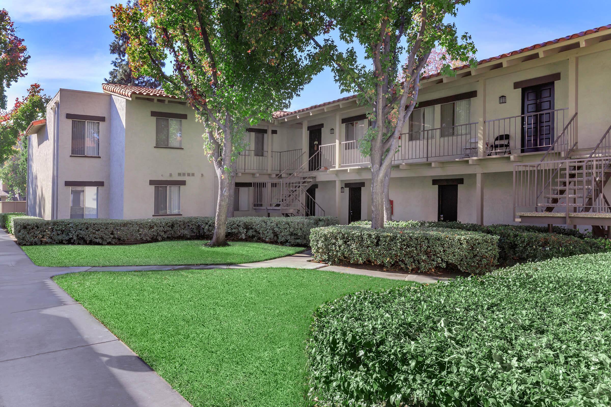 Placita Luxe – photo 3