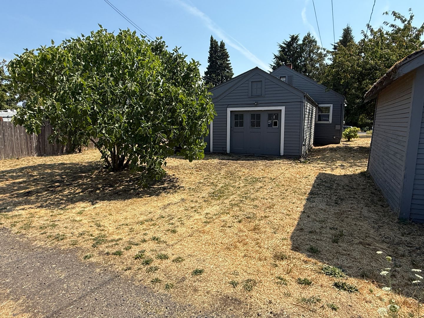 Large 4 bedroom house in Washburne District – photo 5