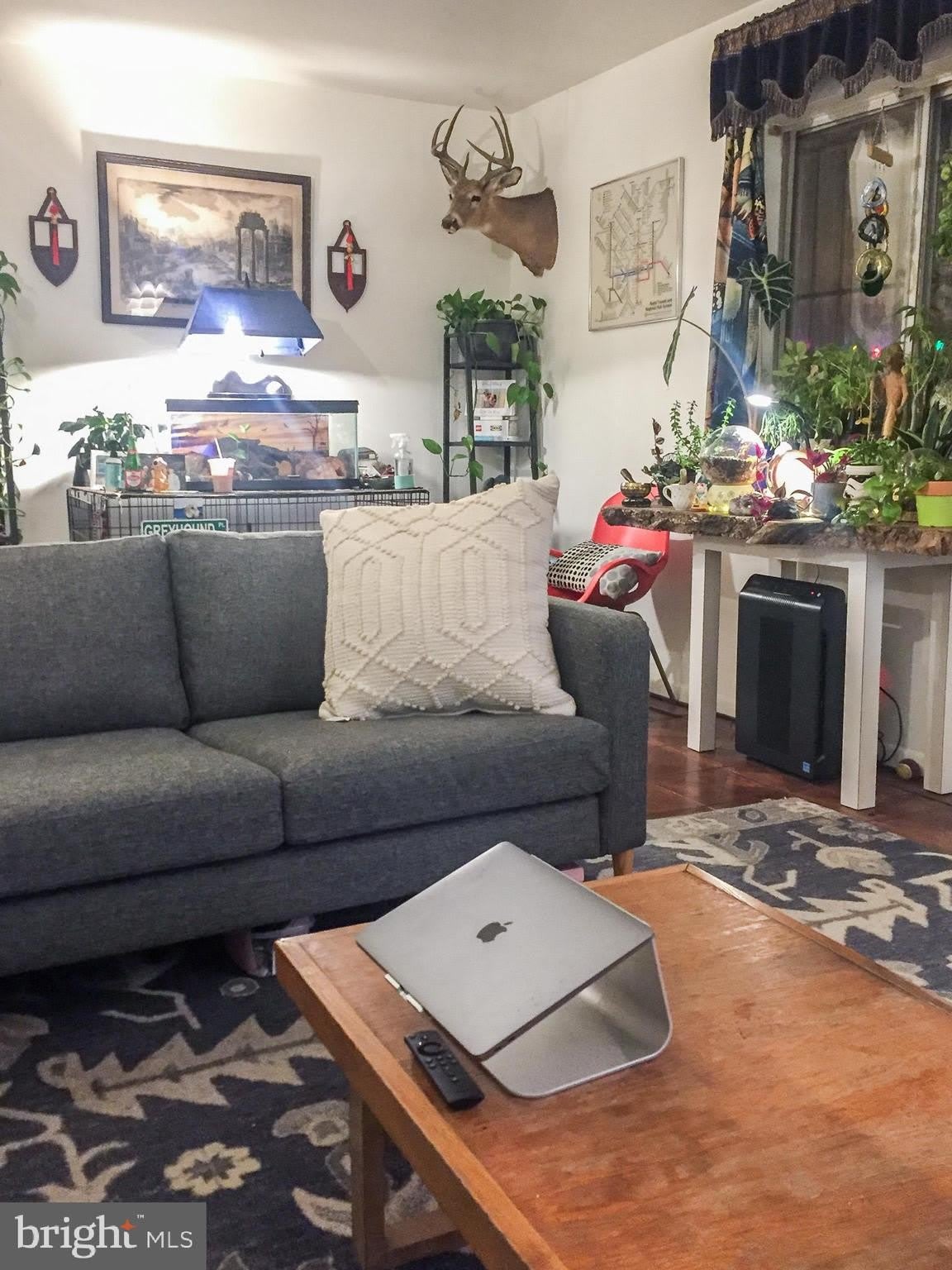 1136 South Street – photo 3