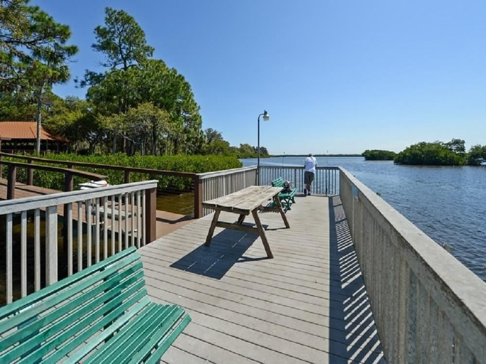 486 Driftwood Drive – photo 5