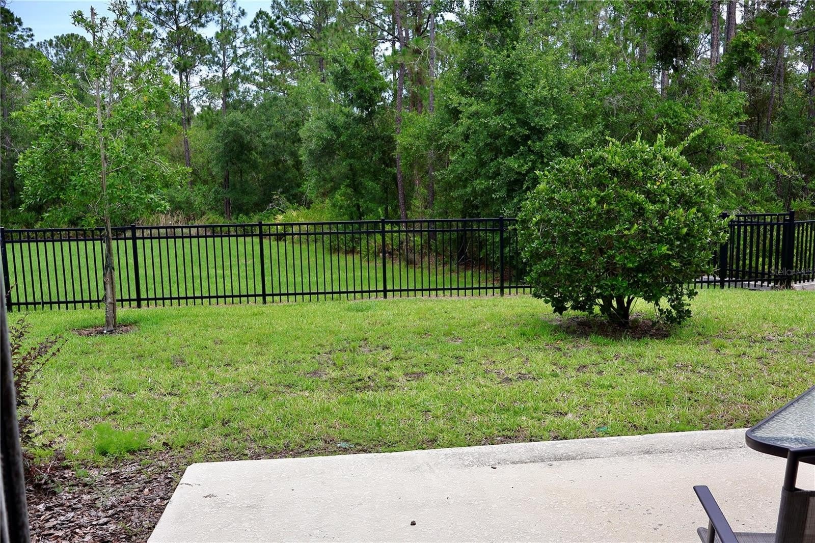3635 DAVENPORT CREEK Court – photo 5