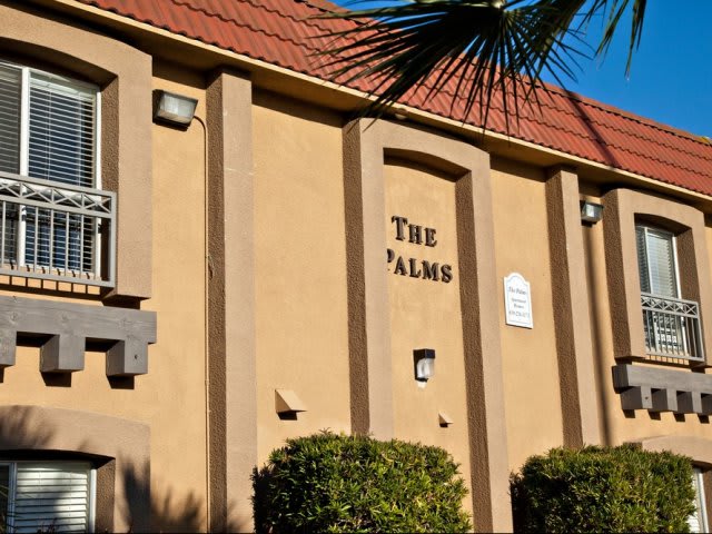 Elan The Palms – photo 2