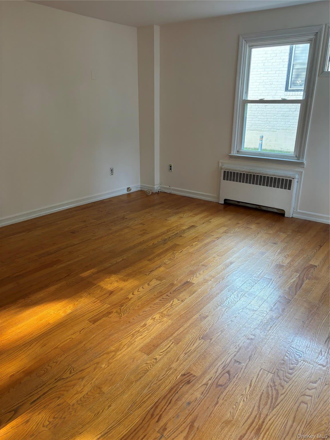 261 Schenck Avenue – photo 2