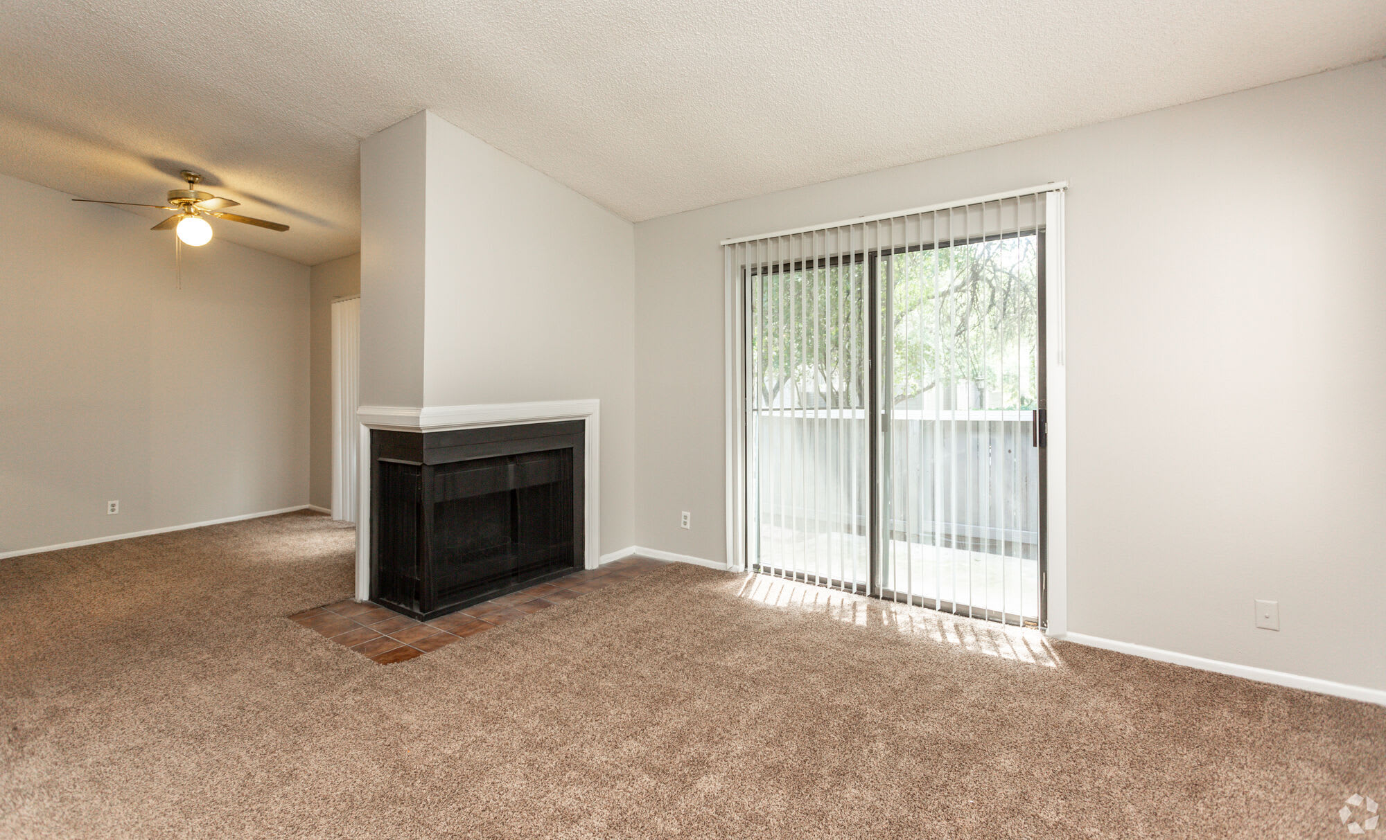 Songbird Apartments – photo 2