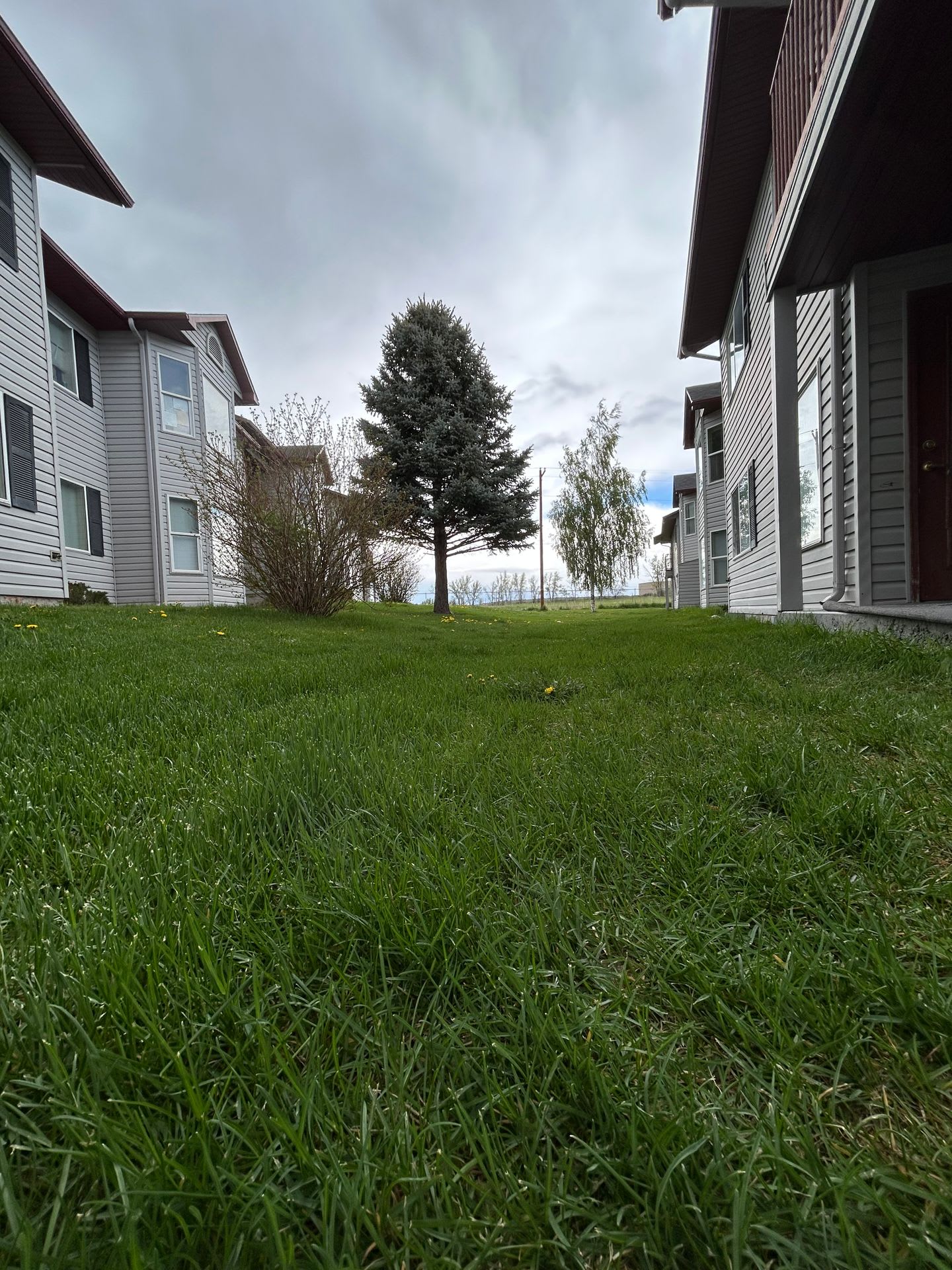 Riverton Apartments – photo 3