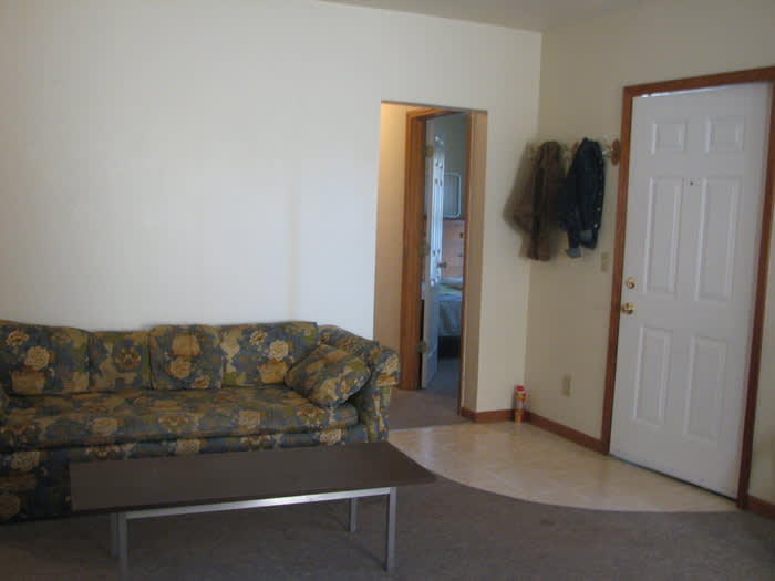 151 East Battle Creek Street – photo 2
