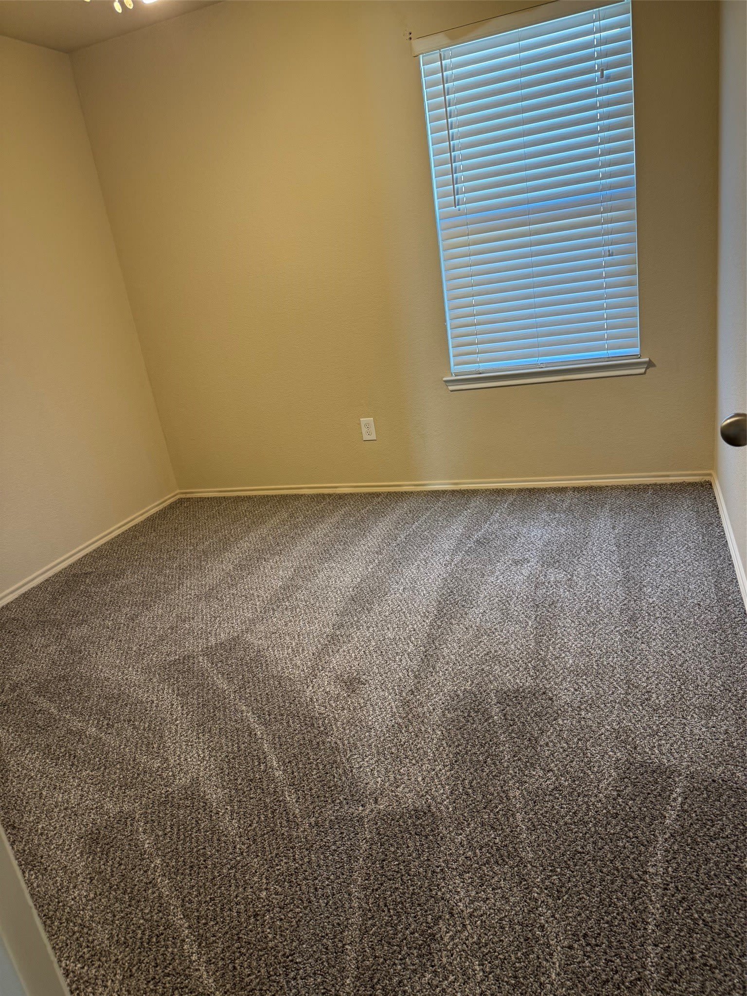 1123 Rainer Drive – photo 3