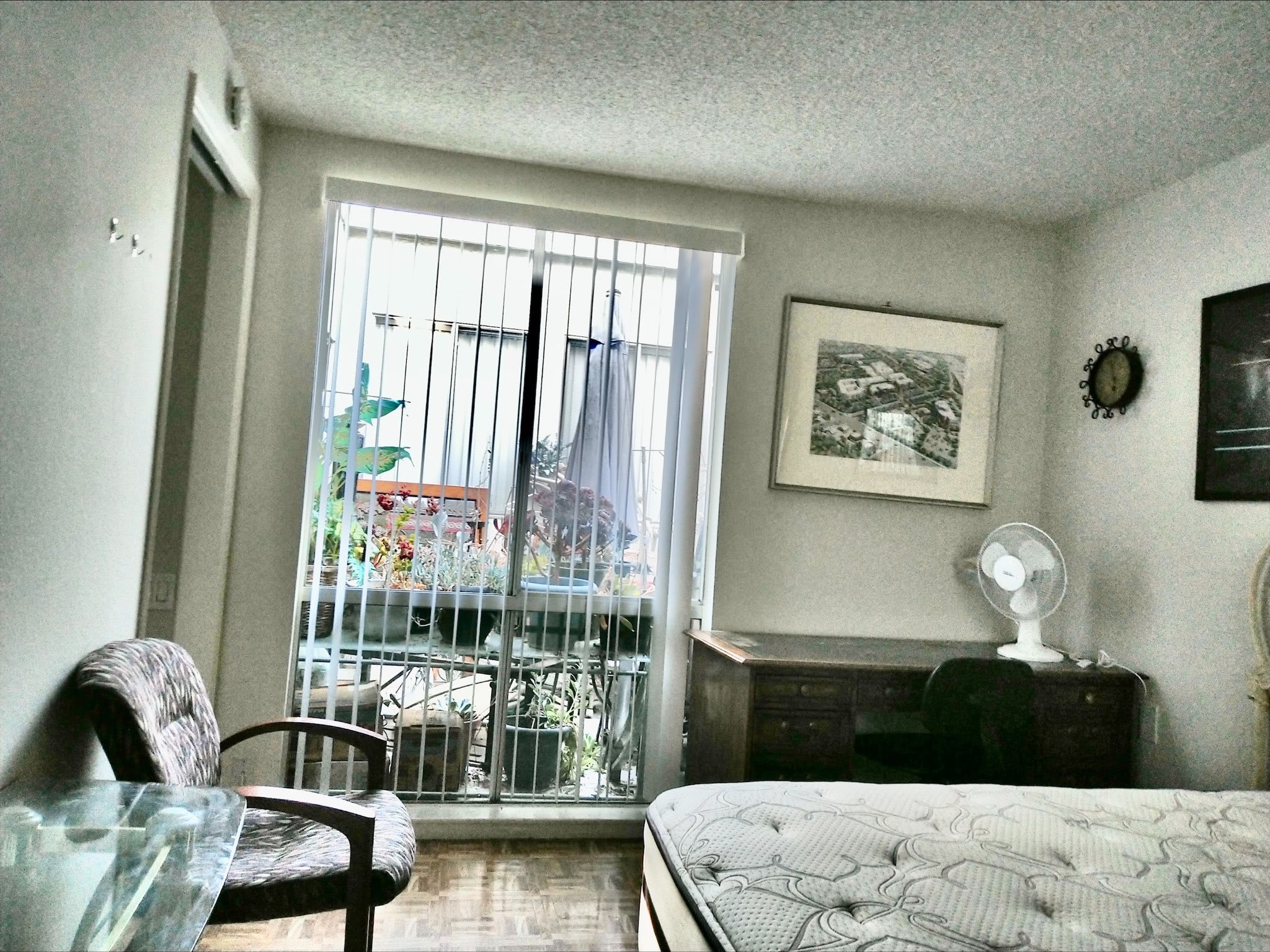 169 Avenida Majorca – photo 2