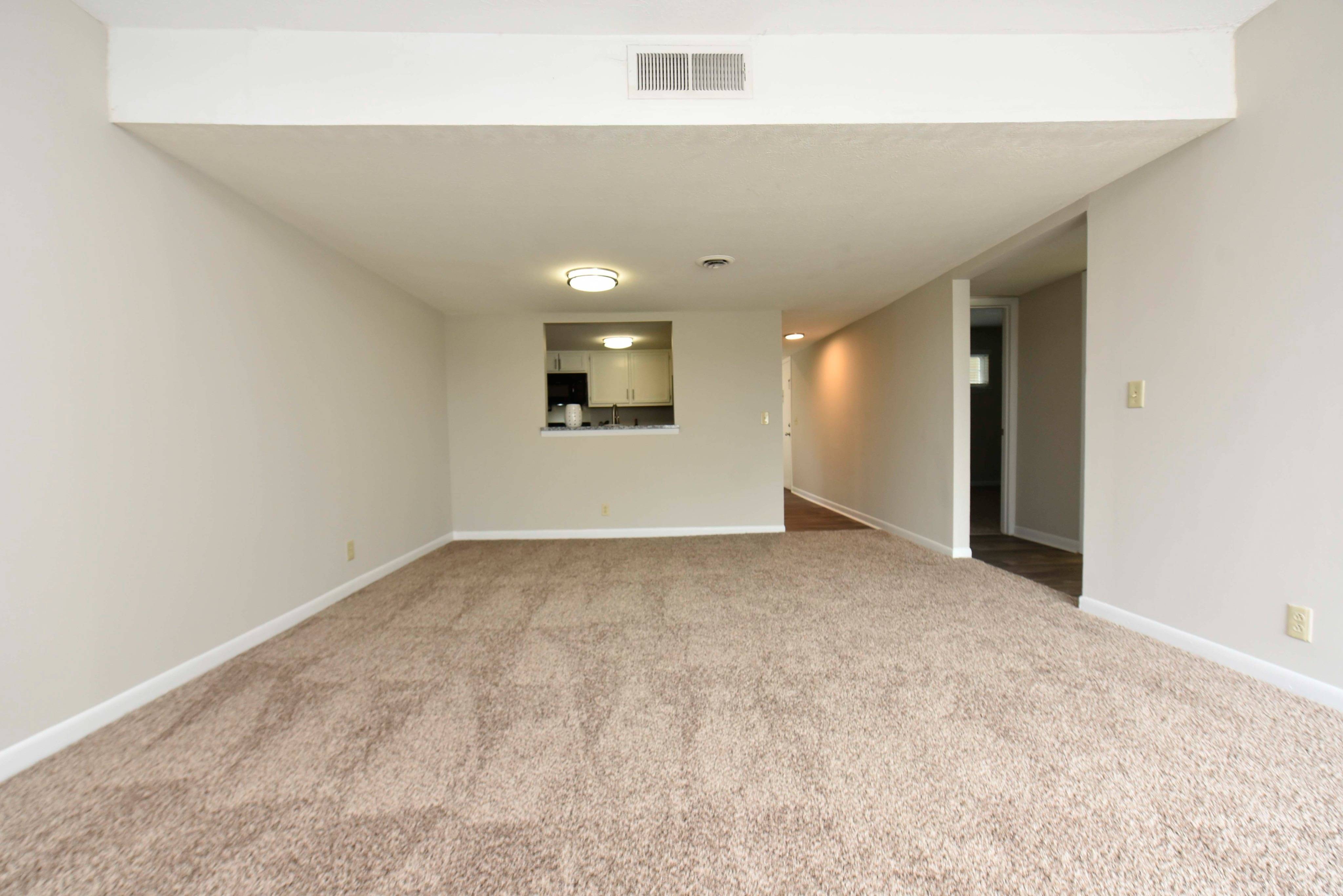 The Palmer – photo 3