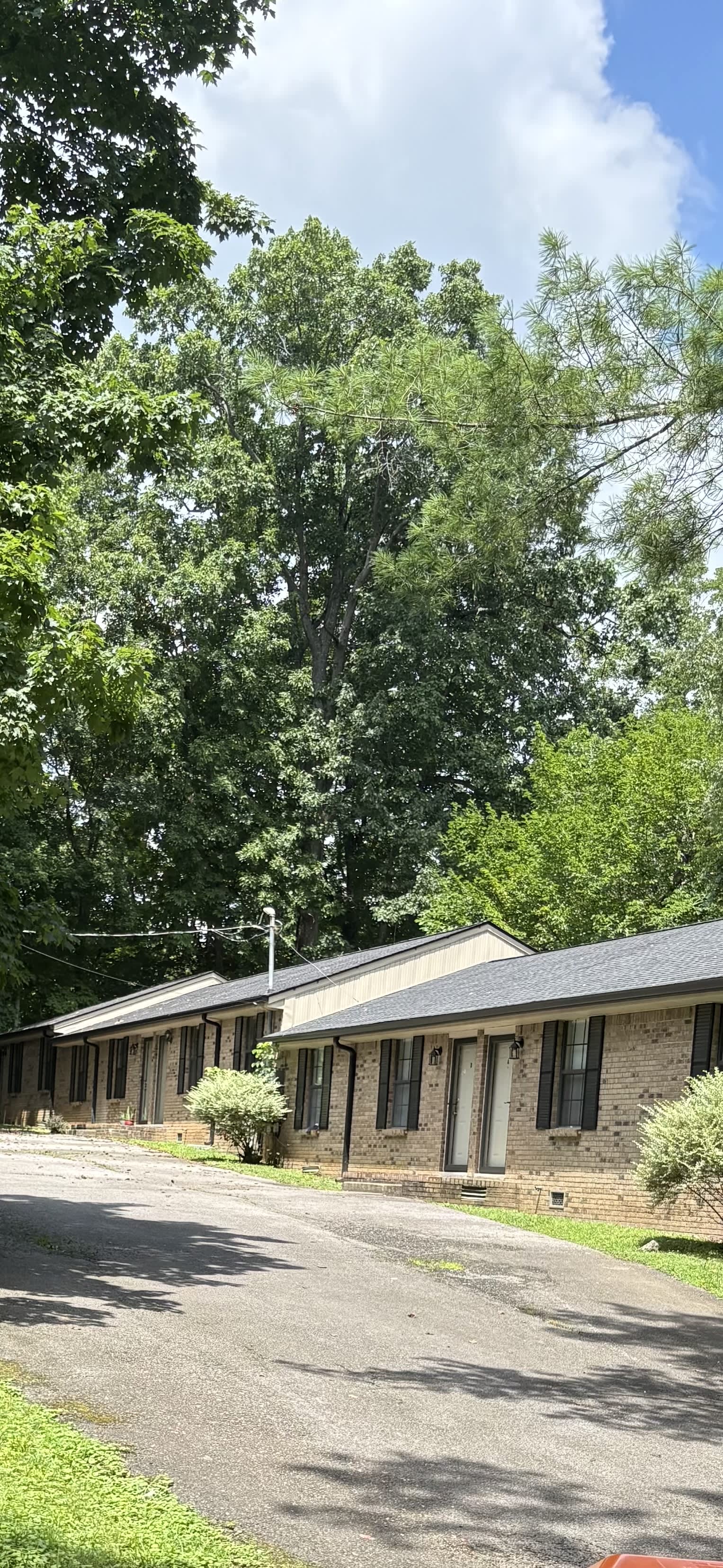 113 W Fork Dr – photo 1