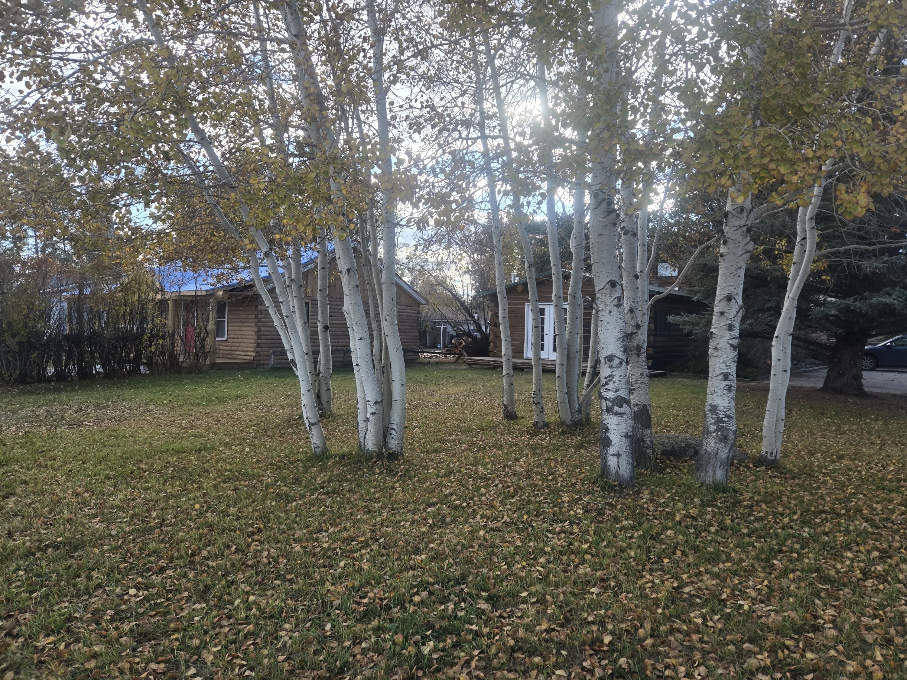 206 South Sublette AvenueA – photo 2