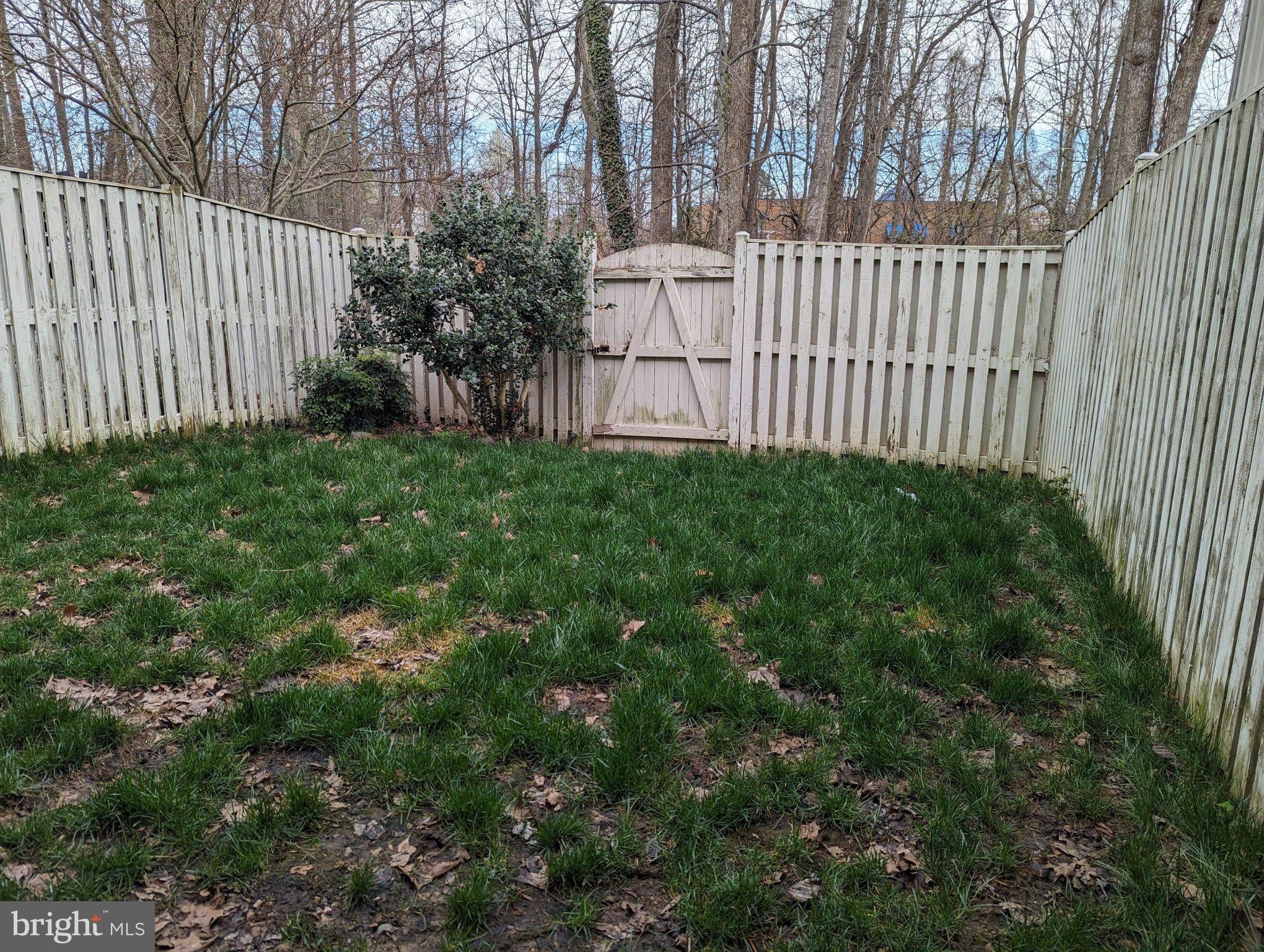 141 Winslow Place – photo 2