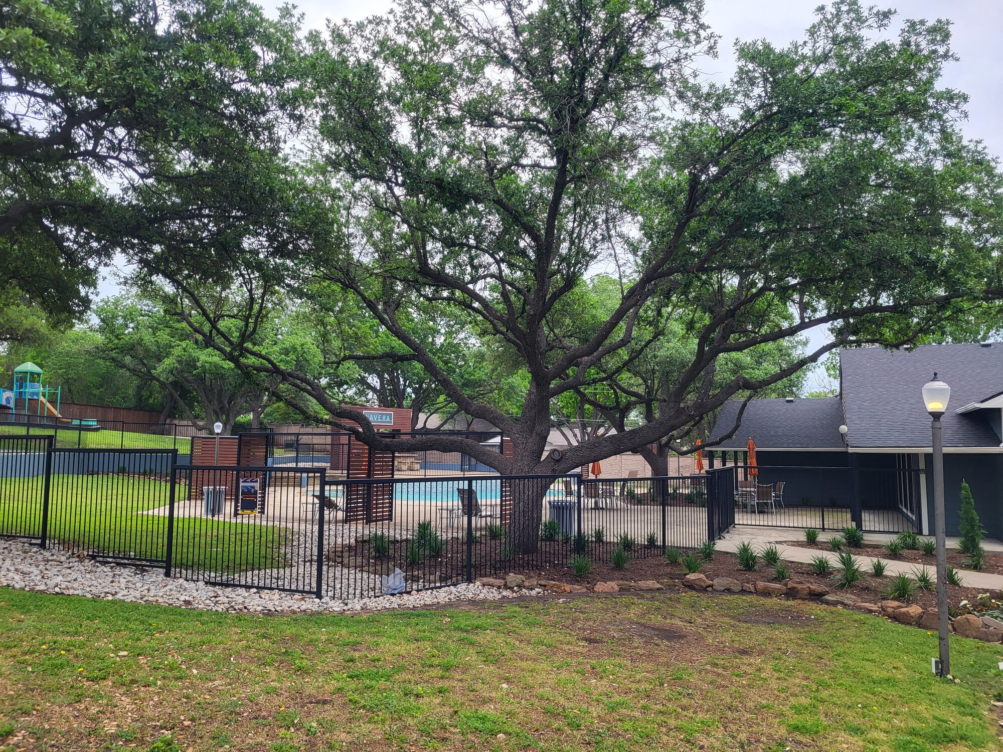 Lavera at Lake Highlands – photo 4