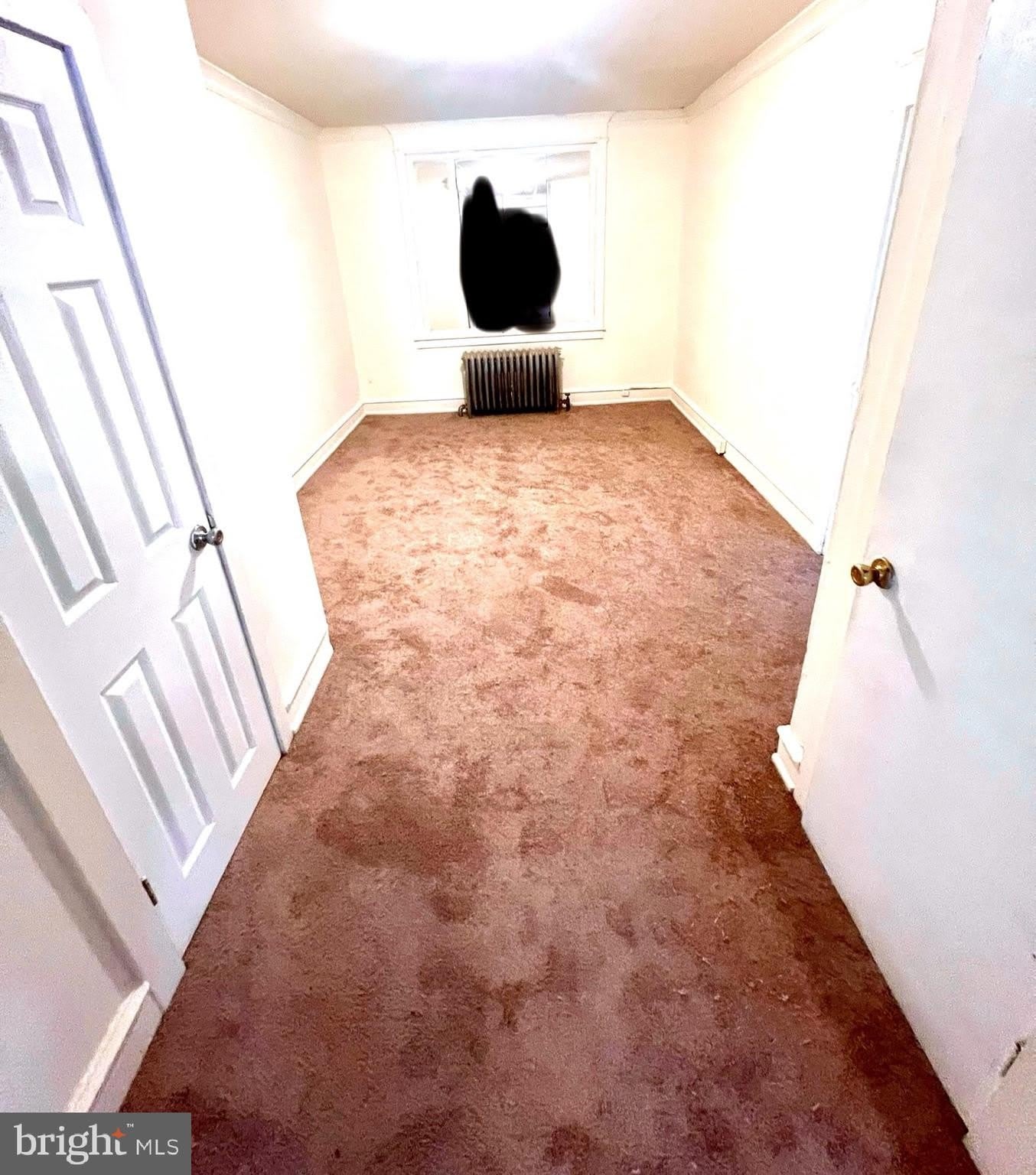 27 SUNSHINE Road – photo 3