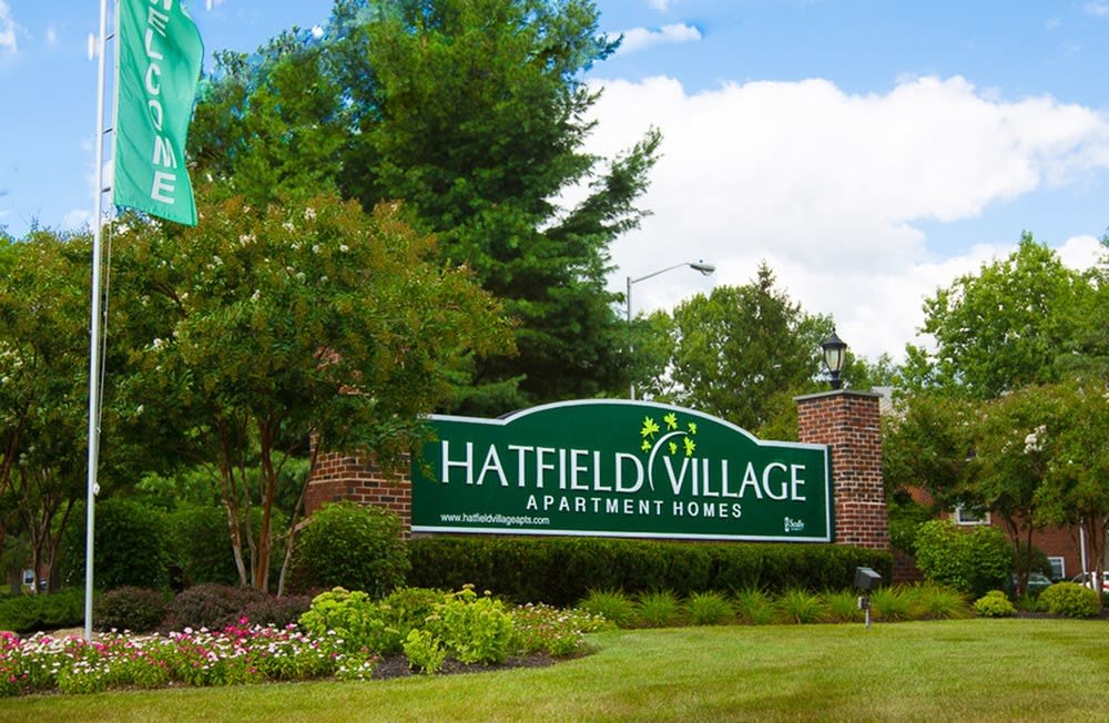 Hatfield Village – photo 5
