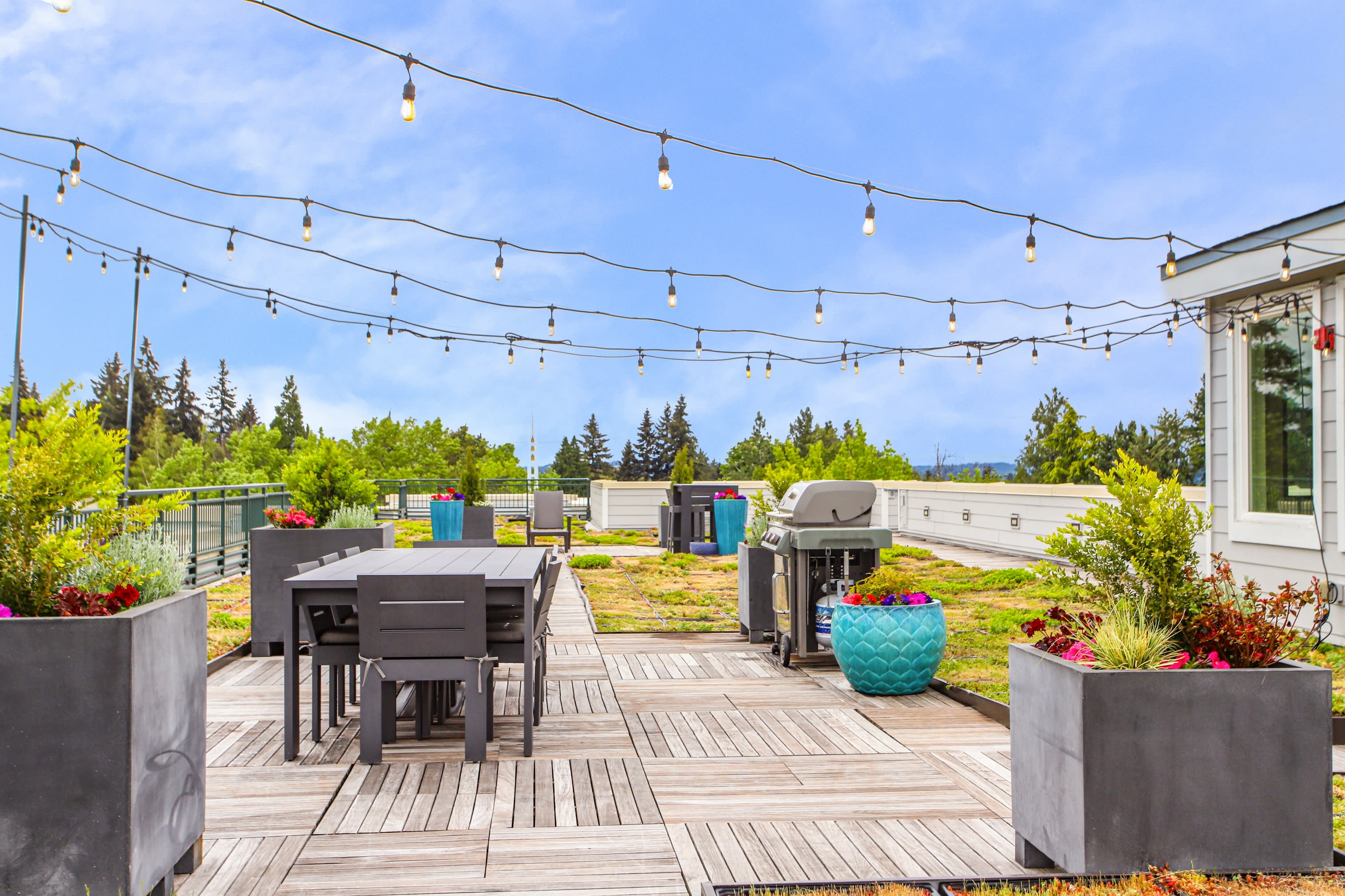 Jasper Apartments – photo 3