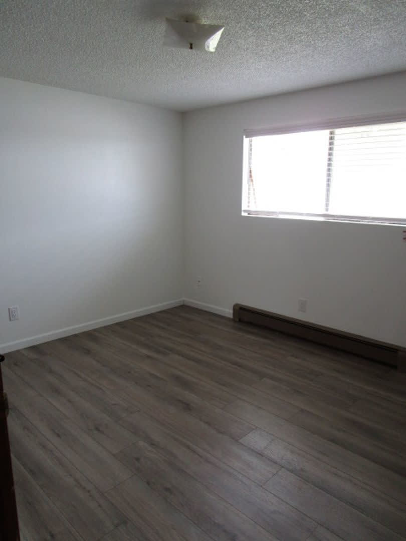 1114 Fidalgo Street – photo 4