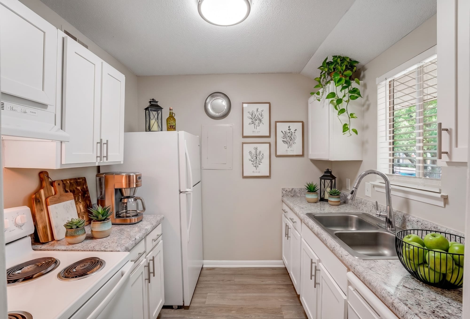 Pine Ridge Apartments – photo 4