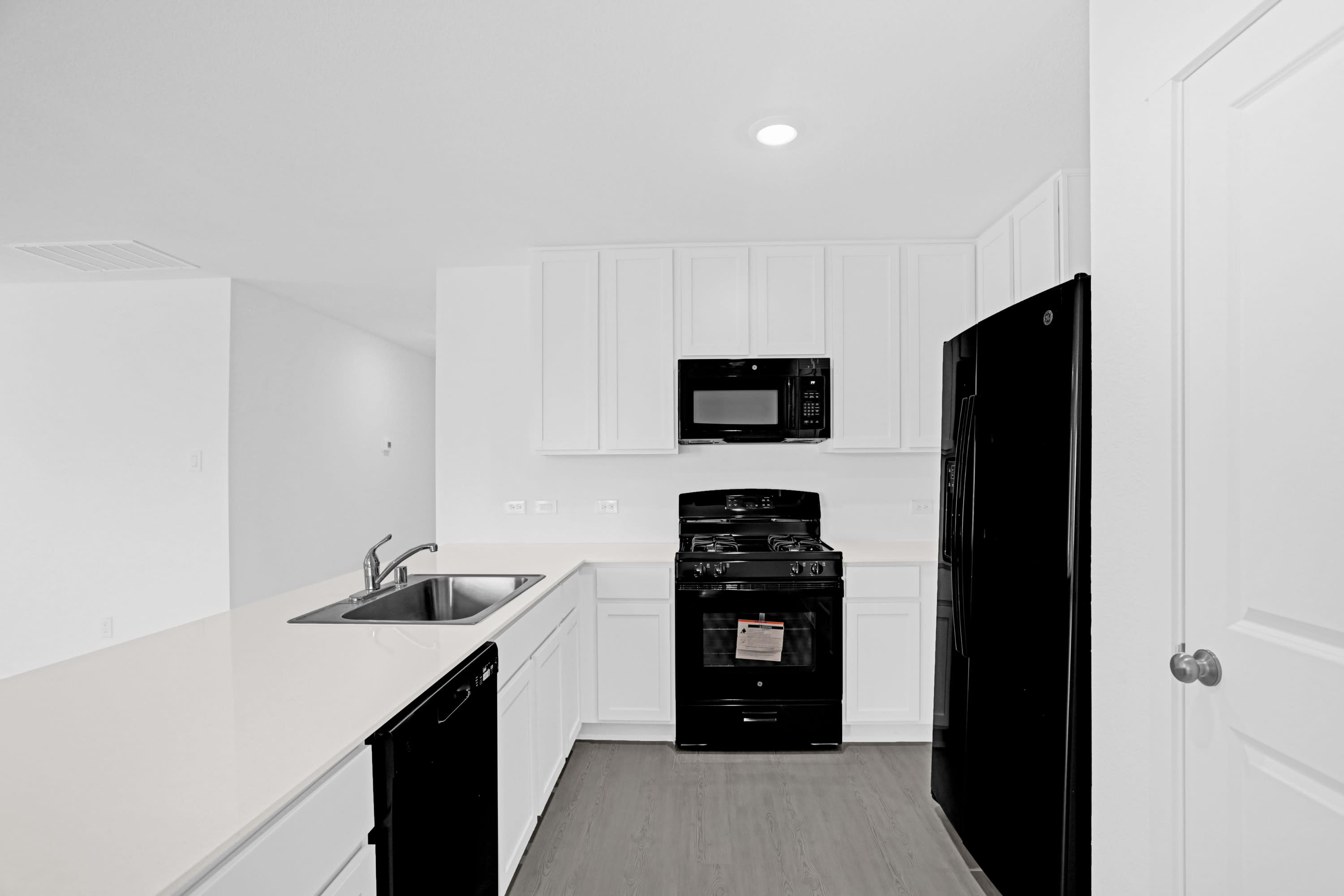 819 Pawpaw Drive – photo 4