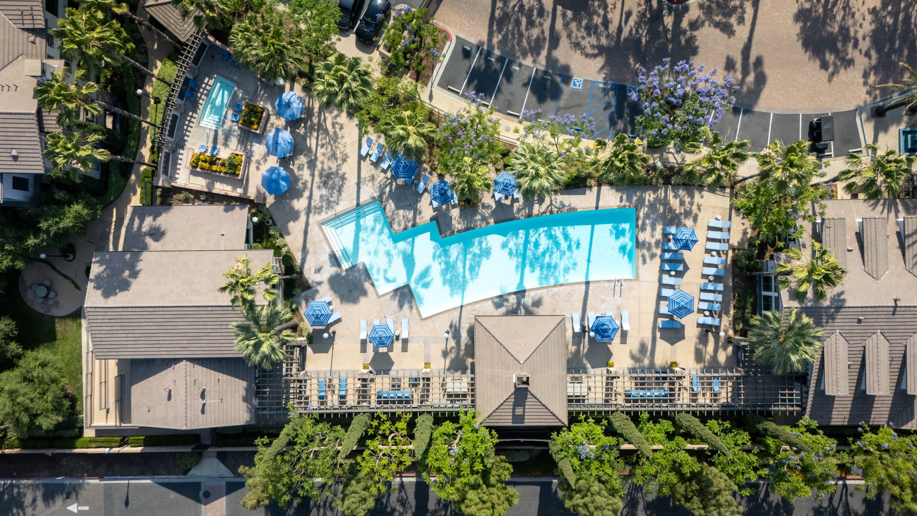 The Grove – photo 4