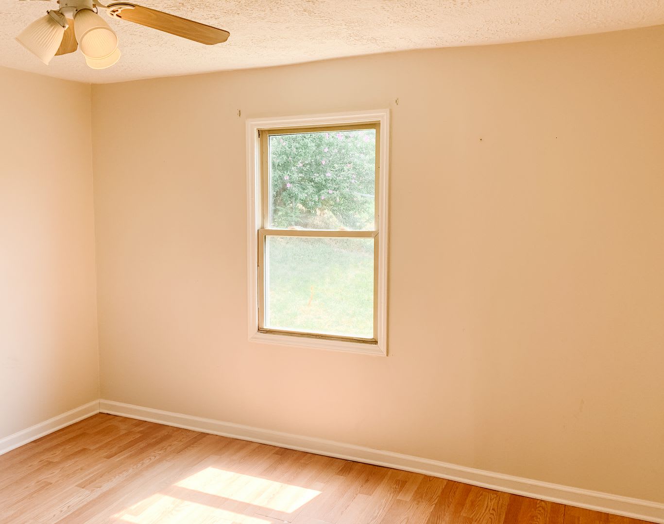 2 Bedroom, 1 Bath House – photo 4
