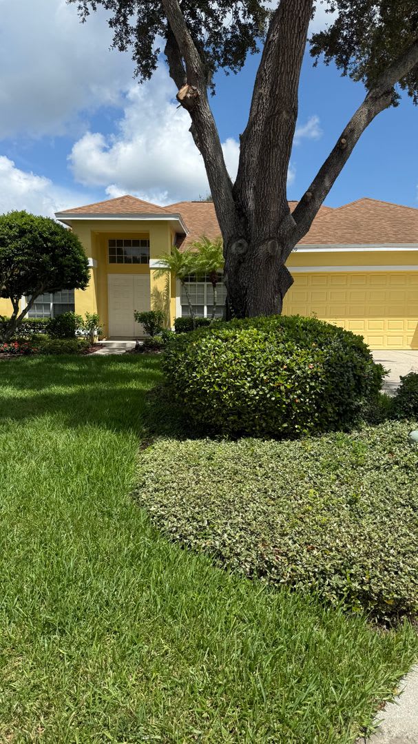 Safety Harbor Honey – photo 1