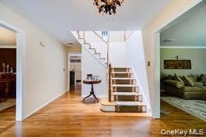 10 Evergreen Court – photo 3