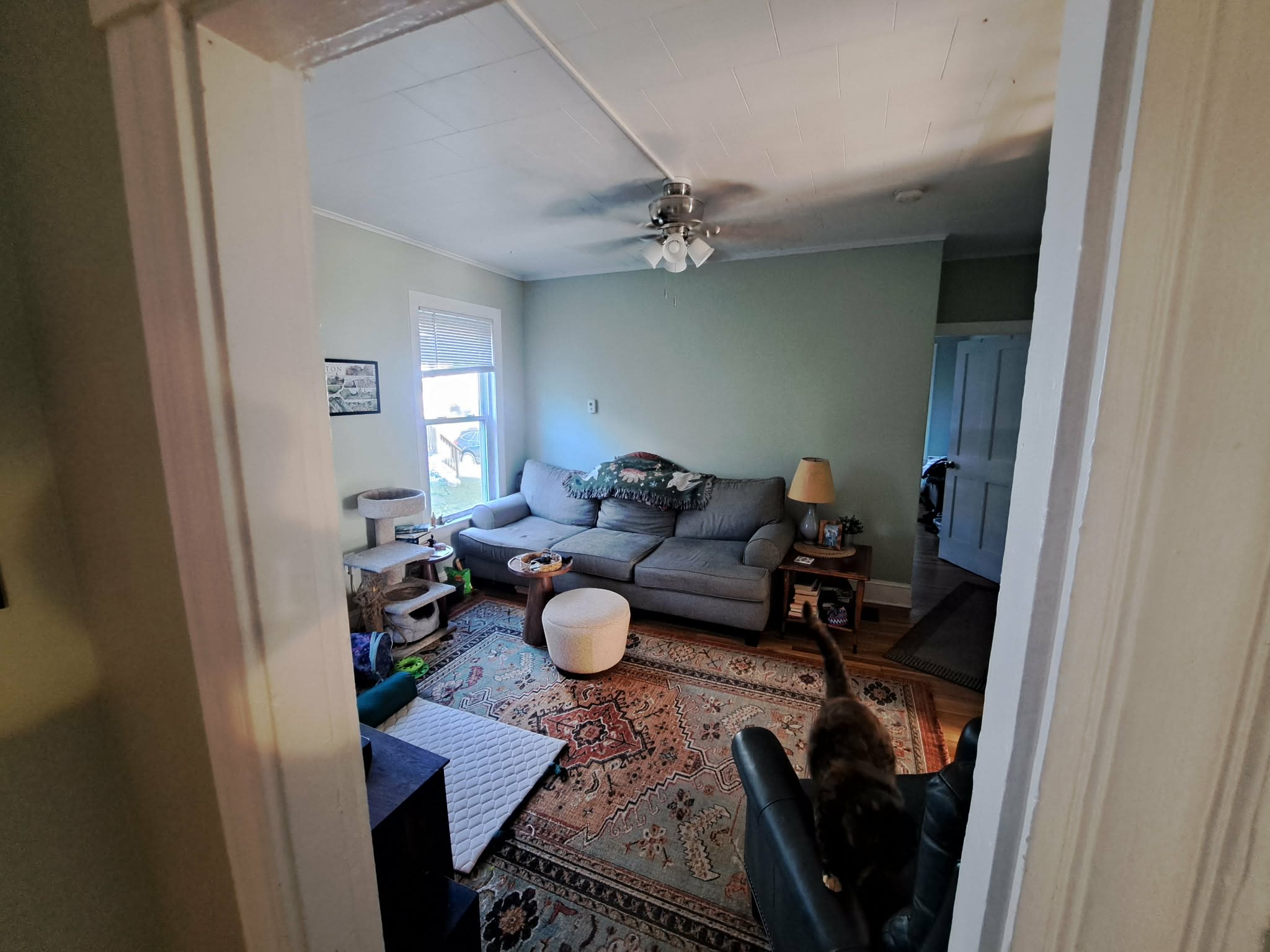 377 Pearl Street – photo 4